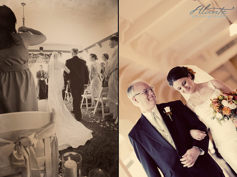 Bride and Father