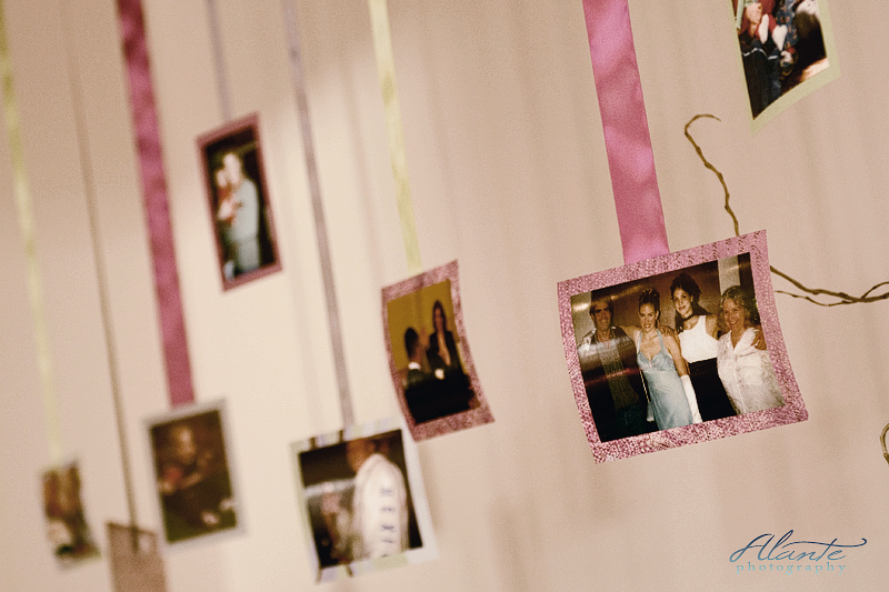 DIY Wedding Candy Bar Idea View the Alante Photography Portfolio Contact