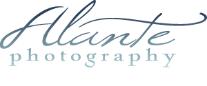 Alante Photography Blog logo